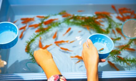 Beste Aquariums [top 10 Keuzes] [2025]