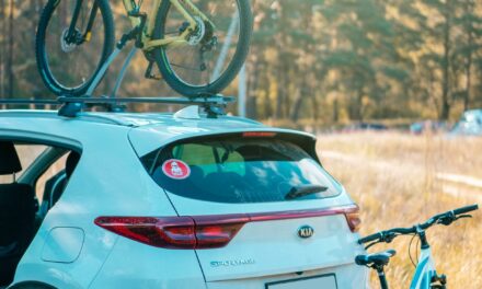Beste Fietsendragers #1 Beste Koop, Kassa & Radar? Top 10 Aanbevelingen [2025 Getest]