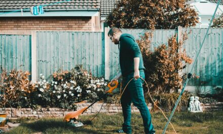 Beste Grasmaaiers Getest: #1 Beste Koop, Kassa & Radar? 2025 Update [Top 10]