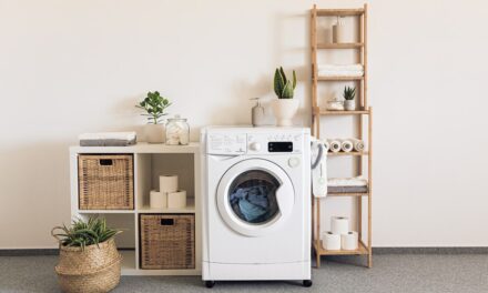 Beste Wasmachine Getest 2024 #1 Beste Koop, Kassa & Radar? [Top 10]