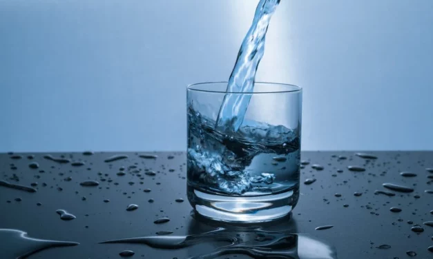 Beste Waterfilters: Brita, Berkey? [#1 Beste Koop, Kassa & Radar? 2025 Onderzoek]