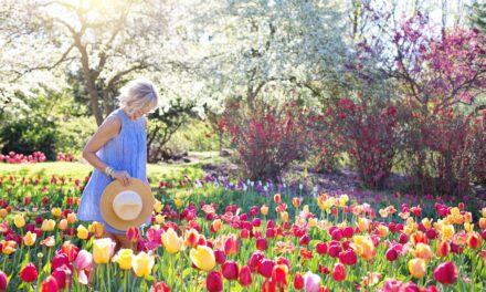 Tuin Inspiratie: Zo Ziet Mijn Ideale Tuin Eruit